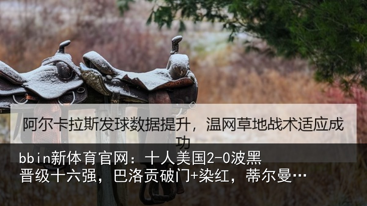 bbin新体育官网：十人美国2-0波黑晋级十六强，巴洛贡破门+染红，蒂尔曼建功