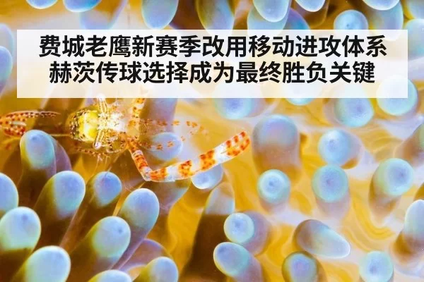 费城老鹰新赛季改用移动进攻体系赫茨传球选择成为最终胜负关键