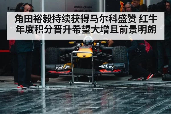 Red Bull racing team